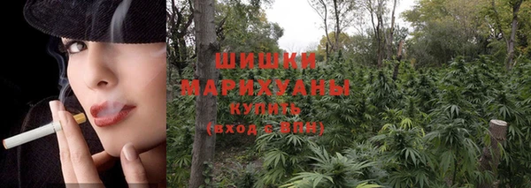 сатива Аркадак